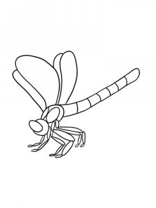 Dragonfly coloring page - picture 27