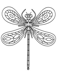 Dragonfly coloring page - picture 3