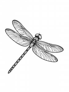 Flying Dragonfly Coloring Page