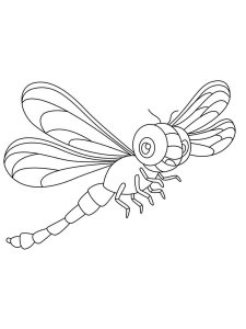 Dragonfly coloring page - picture 7