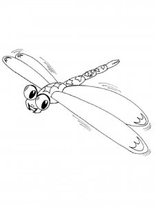 Dragonfly coloring page - picture 8