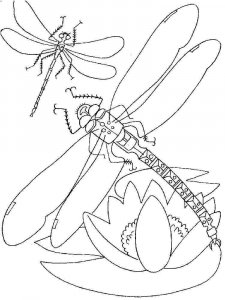 Dragonfly coloring page - picture 9