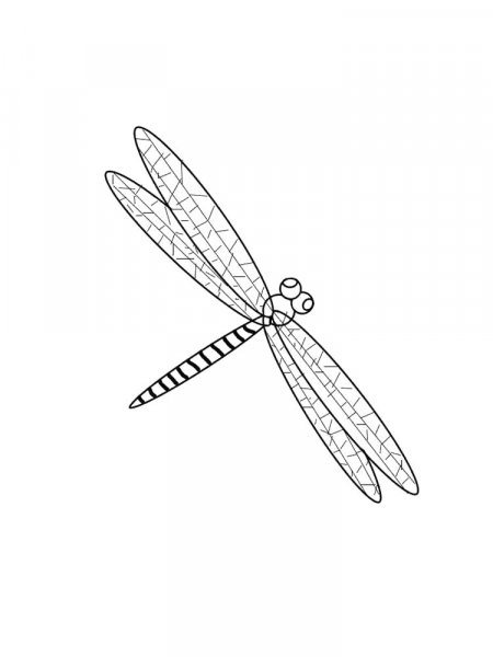 Dragonfly coloring pages