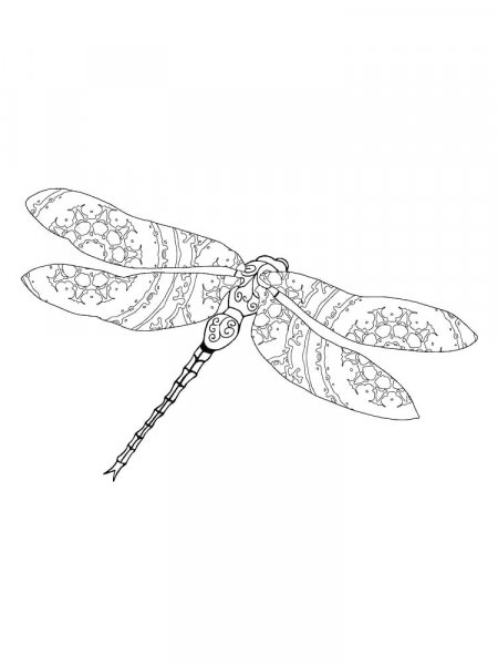 Dragonfly coloring pages