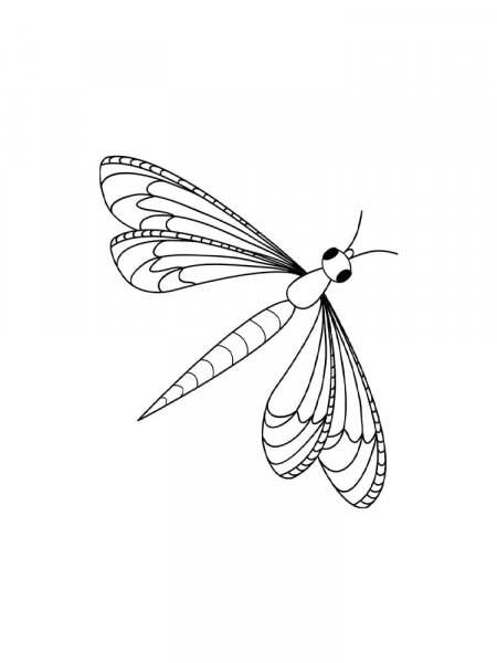 Dragonfly coloring pages