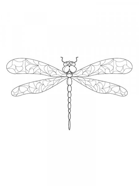 Dragonfly Coloring Pages