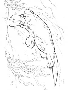Duckbill coloring page - picture 10
