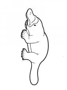 Duckbill coloring page - picture 11