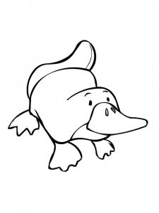 Duckbill coloring page - picture 2