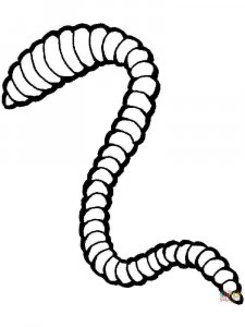 Earthworm coloring page - picture 2