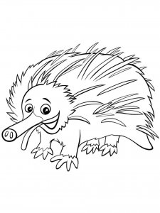 Echidna coloring page - picture 10