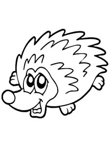 Echidna coloring page - picture 15