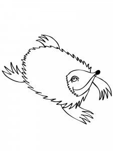 Echidna coloring page - picture 2