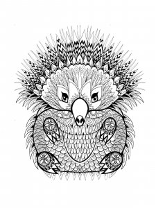 Echidna coloring page - picture 4