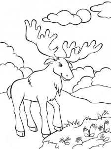 Elk coloring page - picture 13