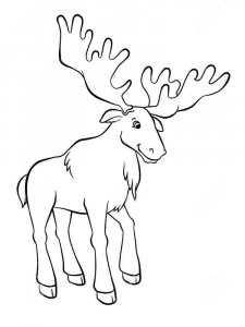 Elk coloring page - picture 15