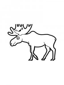 Elk coloring page - picture 17