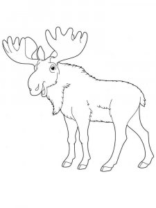 Elk coloring page - picture 25
