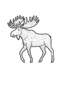 Elk Taking a Walk Coloring Page