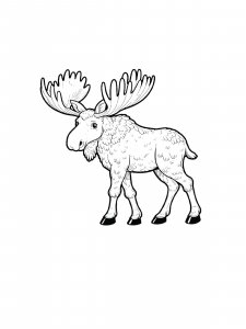 Strong Elk Coloring Page