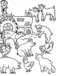 Farm Animal coloring page - picture 12