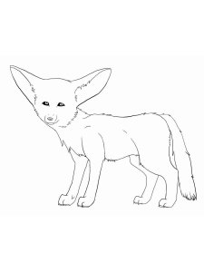Fennec Fox coloring page - picture 10