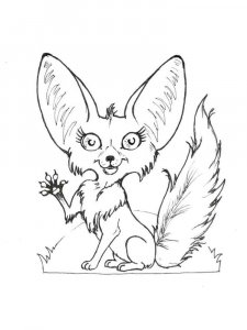 Fennec Fox coloring page - picture 13