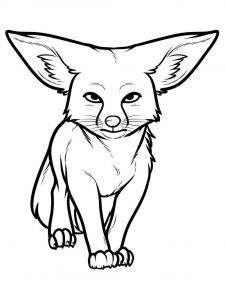 Fennec Fox coloring page - picture 14