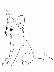 Fennec Fox coloring page - picture 3