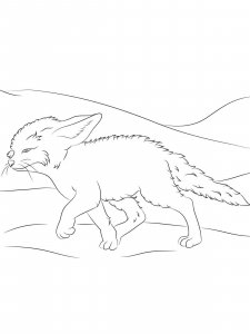 Fennec Fox coloring page - picture 6