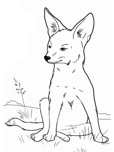 Fennec Fox coloring page - picture 8