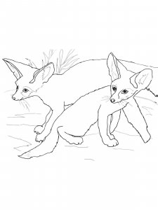 Fennec Fox coloring page - picture 9