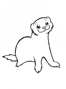 Ferret coloring page - picture 3