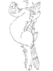 Ferret coloring page - picture 6