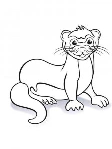 Ferret coloring page - picture 9