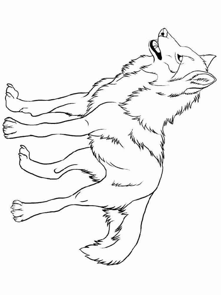 Forest Animals coloring pages