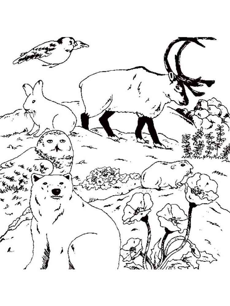 Download Free Forest Animals coloring pages. Download and print ...