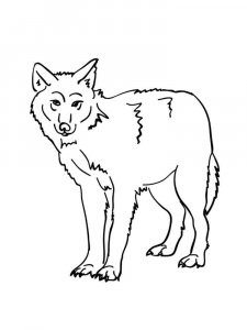 Forest animals coloring page - picture 11