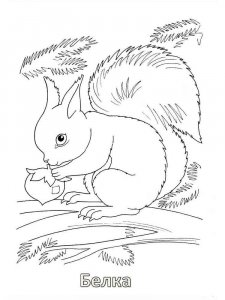 Forest animals coloring page - picture 12