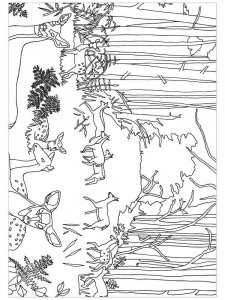 Forest animals coloring page - picture 13
