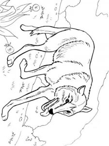 Forest animals coloring page - picture 2