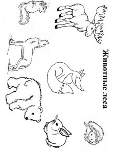 Forest animals coloring page - picture 6