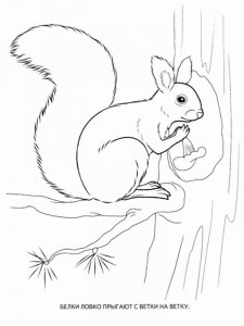 Forest animals coloring page - picture 7