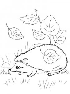 Forest animals coloring page - picture 9