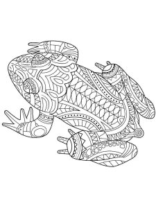Frog coloring page - picture 19