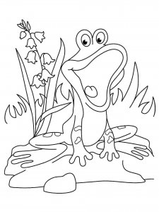 Frog coloring page - picture 21