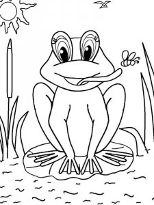 Frog coloring page - picture 23