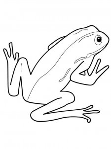 Frog coloring page - picture 28