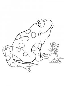 Frog coloring page - picture 30