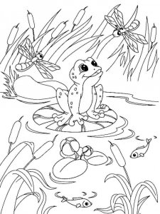 Frog coloring page - picture 32